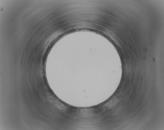 X0000074320832200609082005