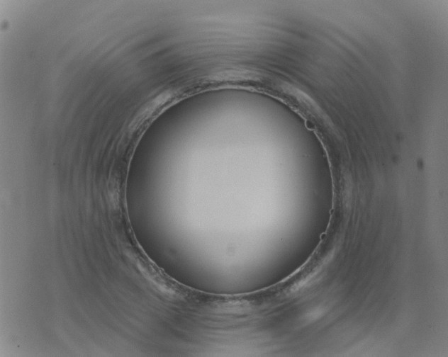 X0000074320833200609082005