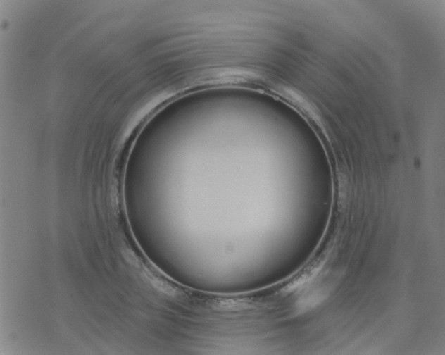 X0000074320835200609082005