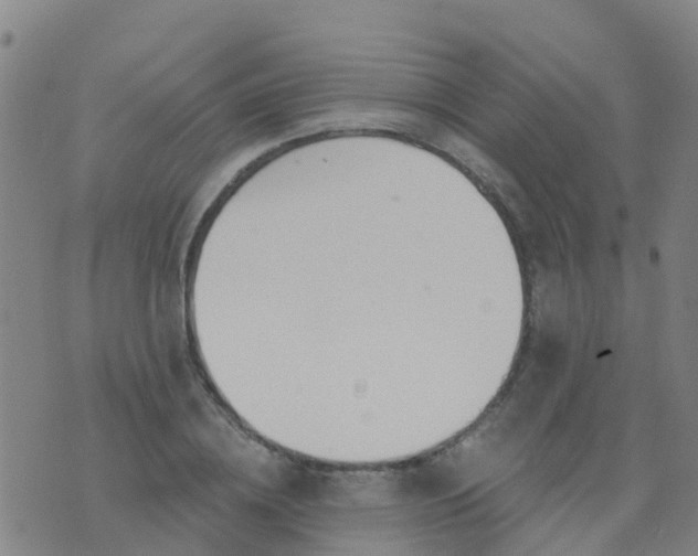 X0000074320836200609082005