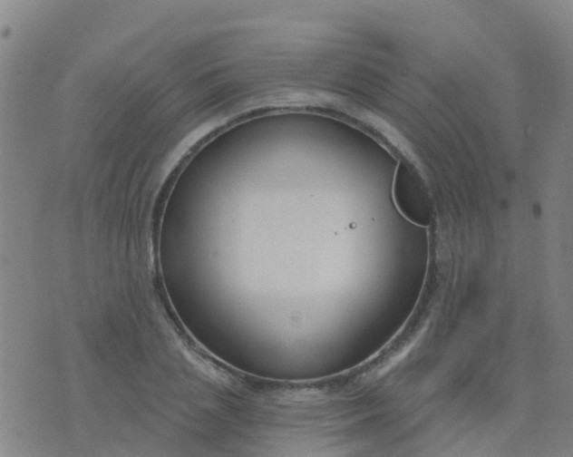 X0000074320837200609082005