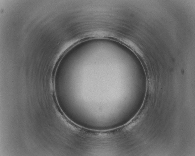 X0000074320839200609082005