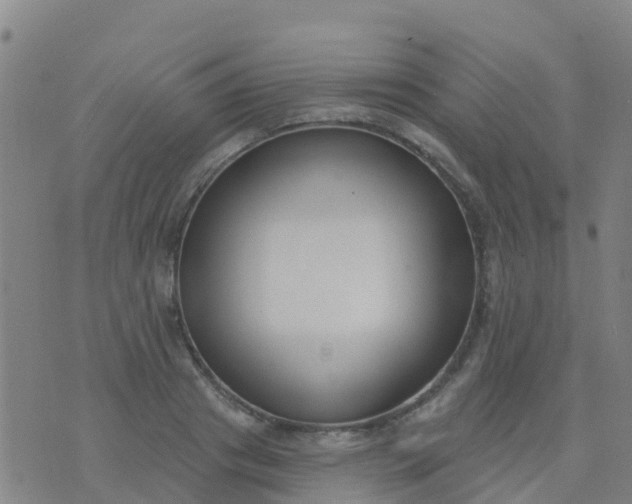 X0000074320841200609082005