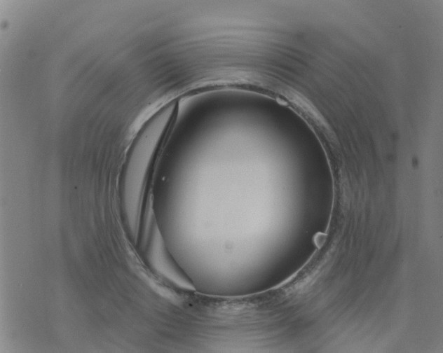 X0000074320842200609082005