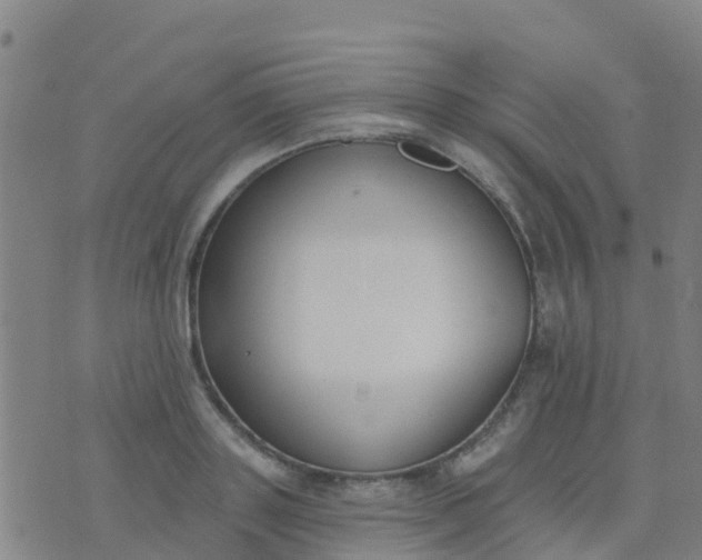 X0000074320843200609082005