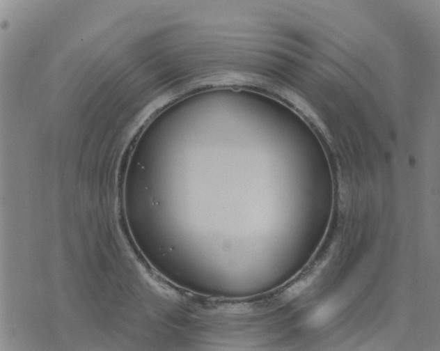 X0000074320845200609082005