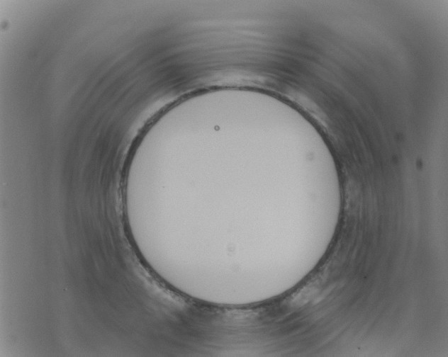 X0000074320848200609082005