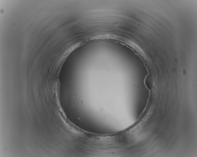 X0000074320849200609082005