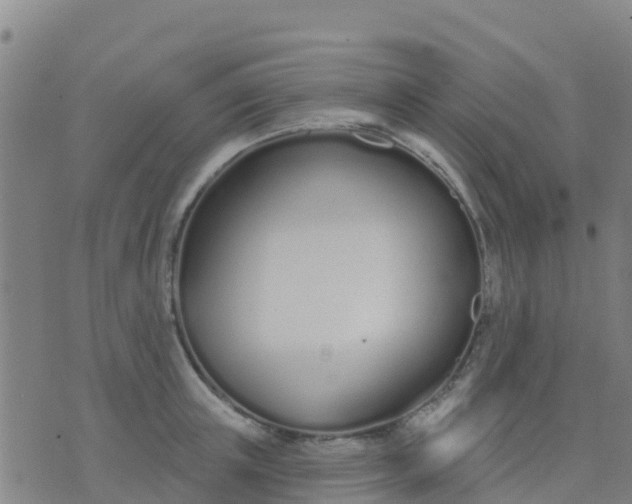 X0000074320851200609082005