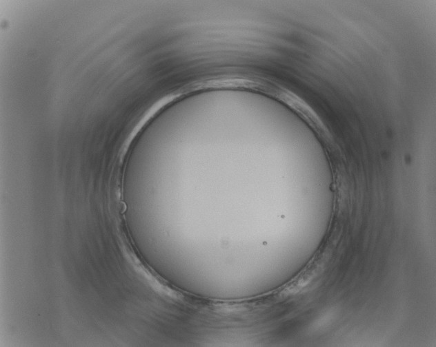 X0000074320852200609082005