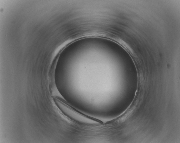 X0000074320854200609082005