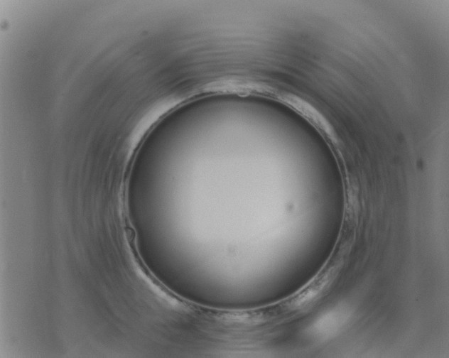 X0000074320855200609082005