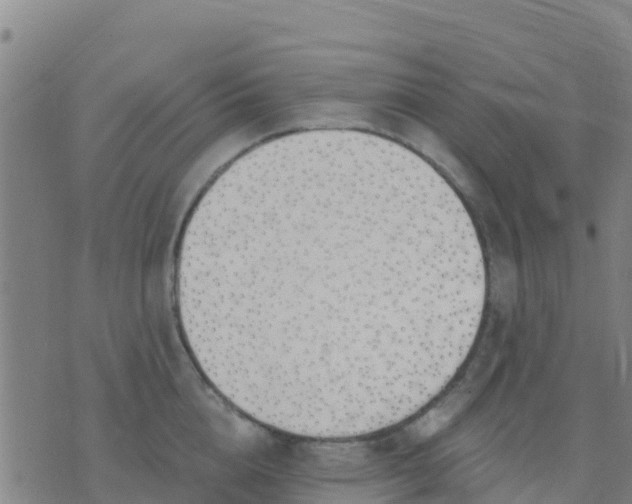 X0000074320856200609082005