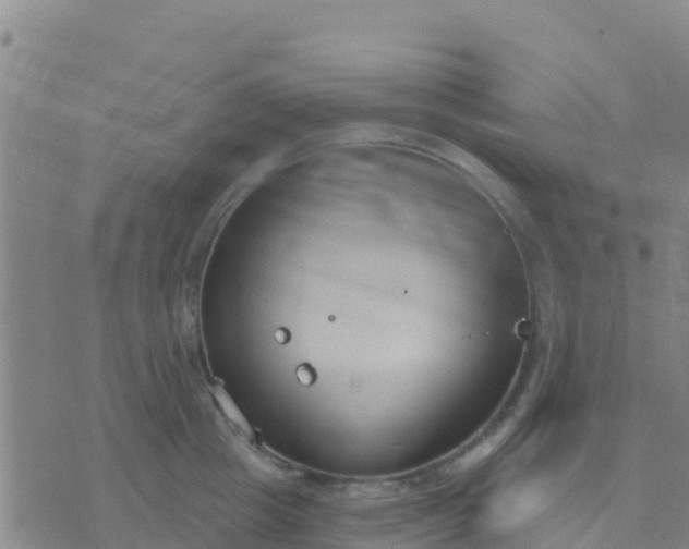 X0000074320857200609082005