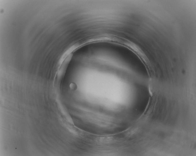 X0000074320858200609082005