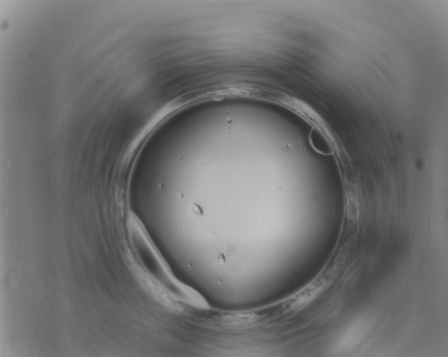 X0000074320859200609082005