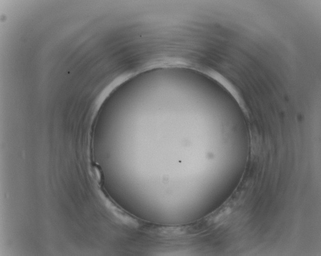 X0000074320861200609082005