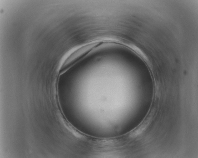 X0000074320862200609082005