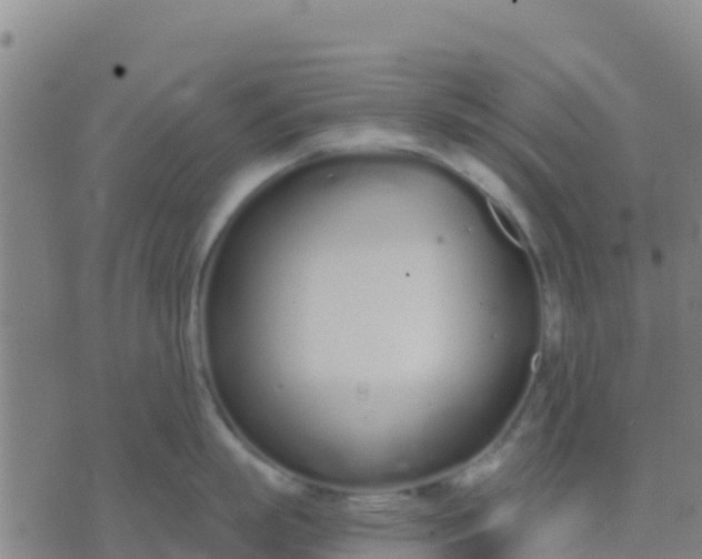 X0000074320863200609082005