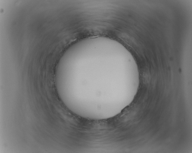 X0000074320865200609082004