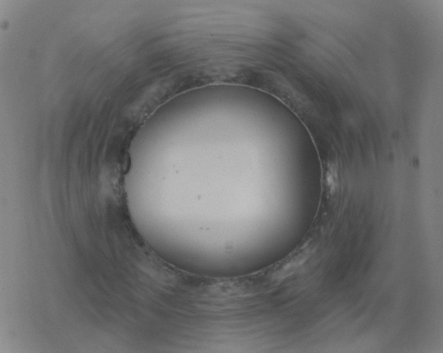 X0000074320867200609082004