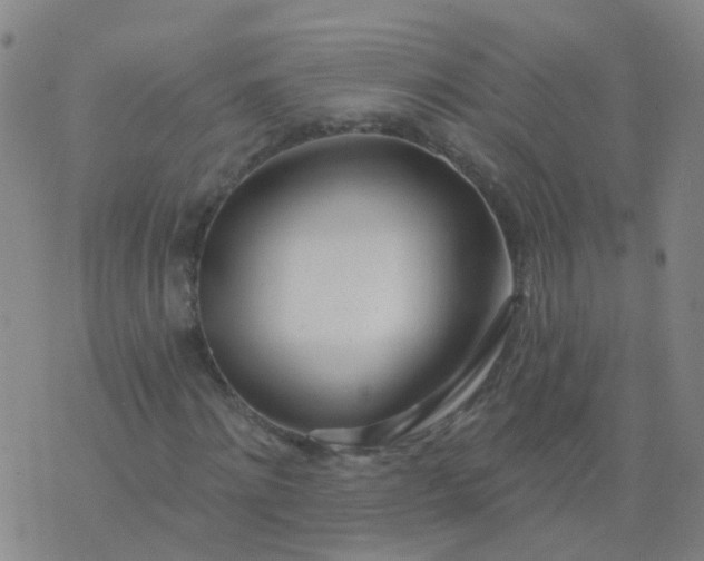 X0000074320868200609082004