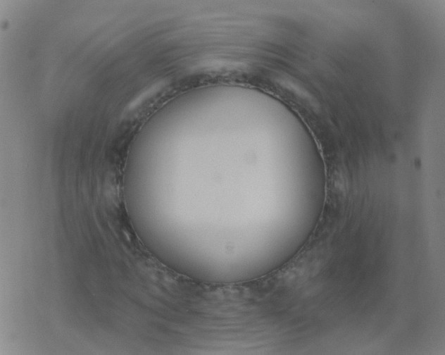 X0000074320869200609082004