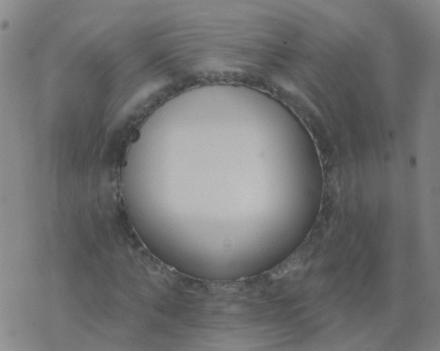 X0000074320870200609082004