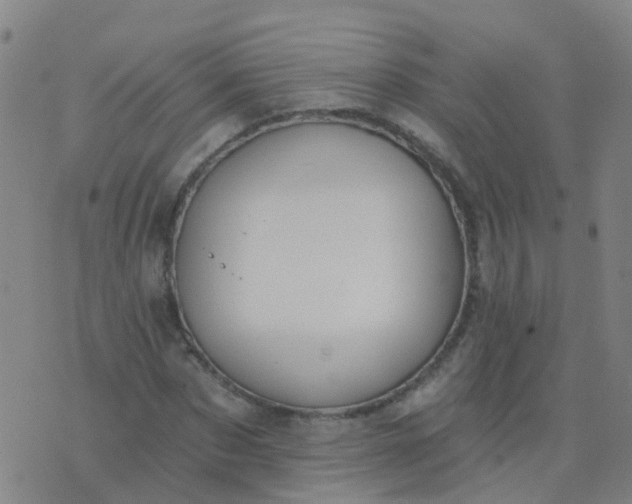 X0000074320873200609082004