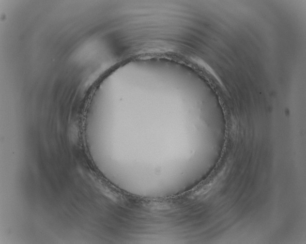 X0000074320874200609082004