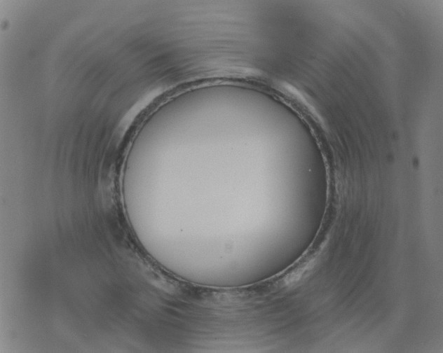 X0000074320875200609082004