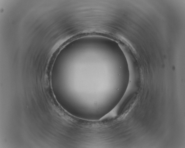 X0000074320876200609082004