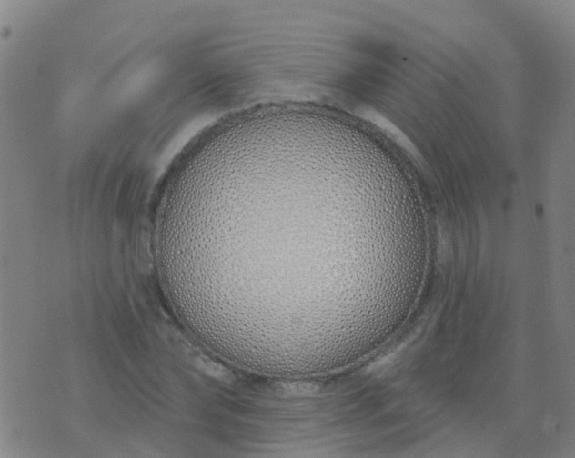 X0000074320878200609082004