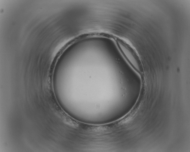 X0000074320879200609082004