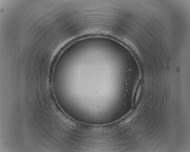 X0000074320880200609082004