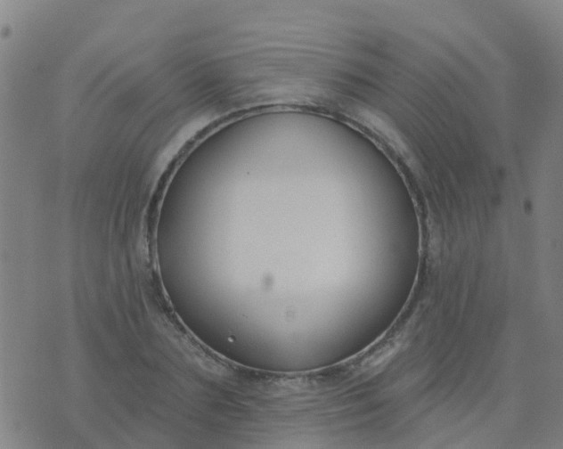 X0000074320883200609082004