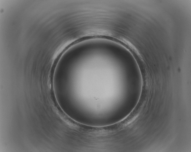 X0000074320885200609082004