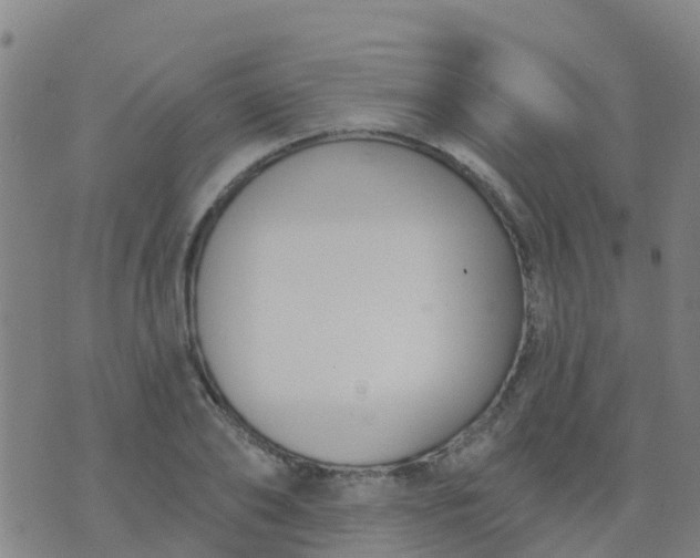 X0000074320886200609082004