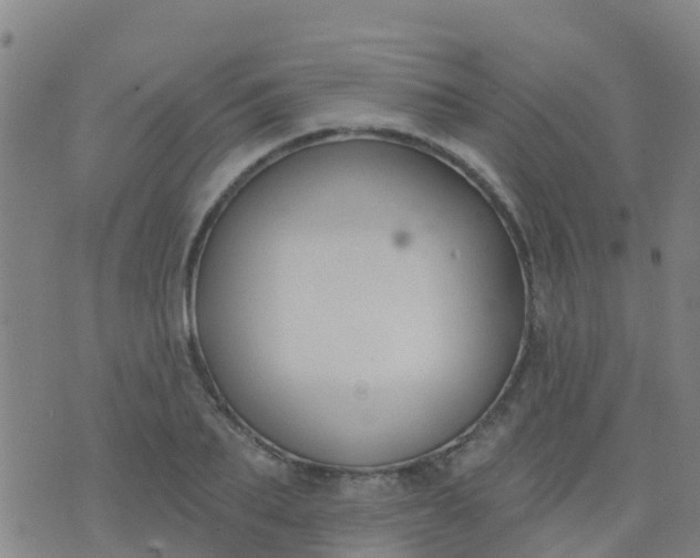 X0000074320887200609082004