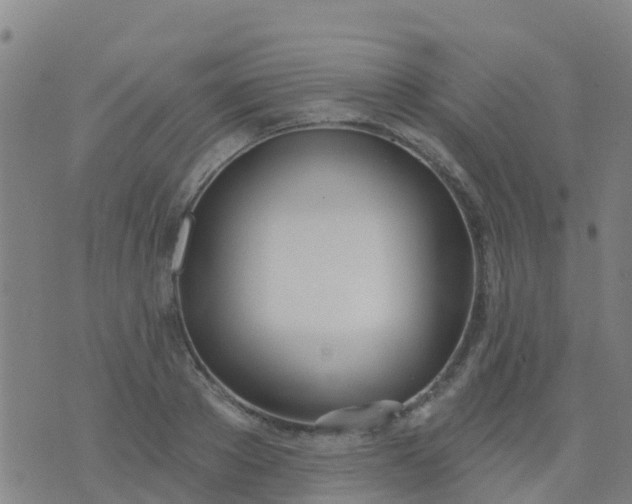 X0000074320889200609082004