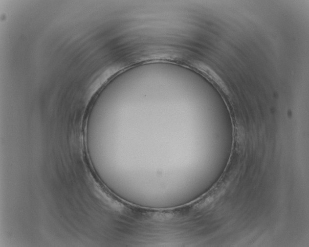 X0000074320890200609082004