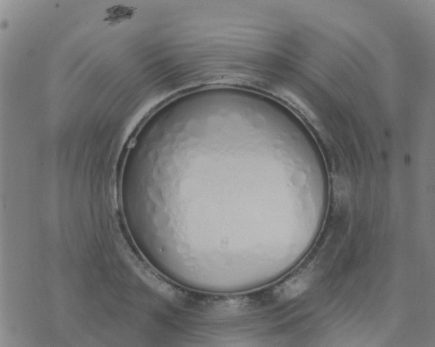 X0000074320891200609082004