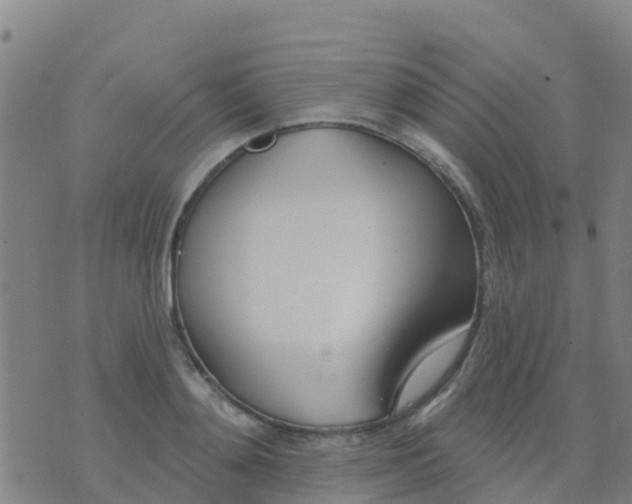 X0000074320892200609082004