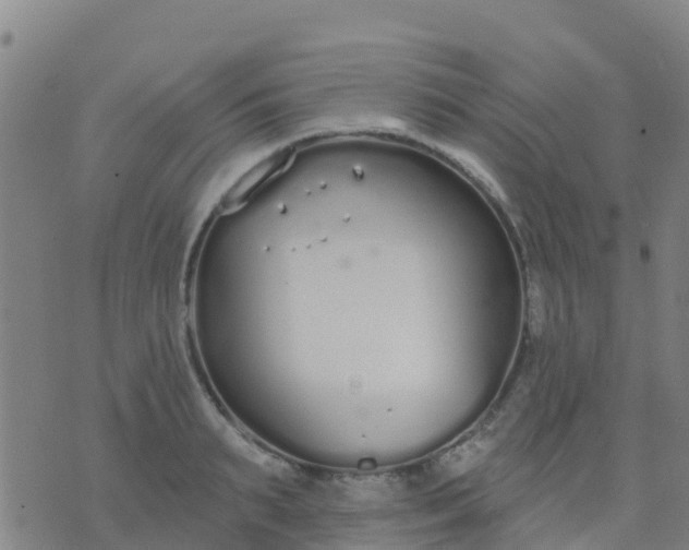 X0000074320895200609082004