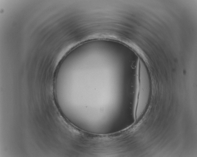 X0000074320896200609082004