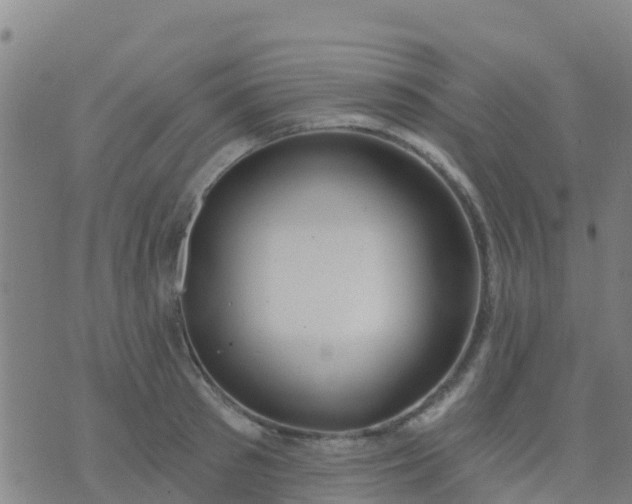 X0000074320897200609082004