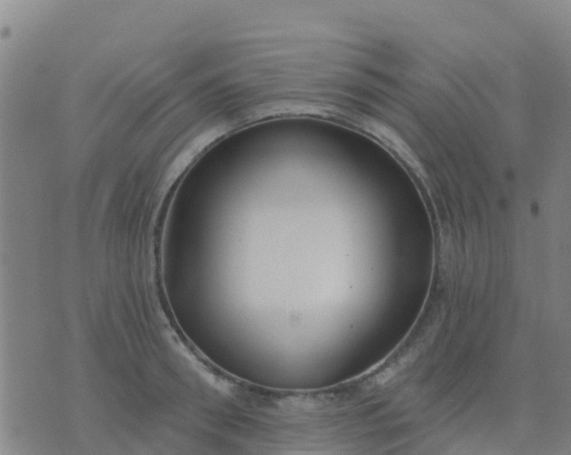 X0000074320898200609082004