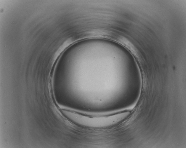 X0000074320899200609082004