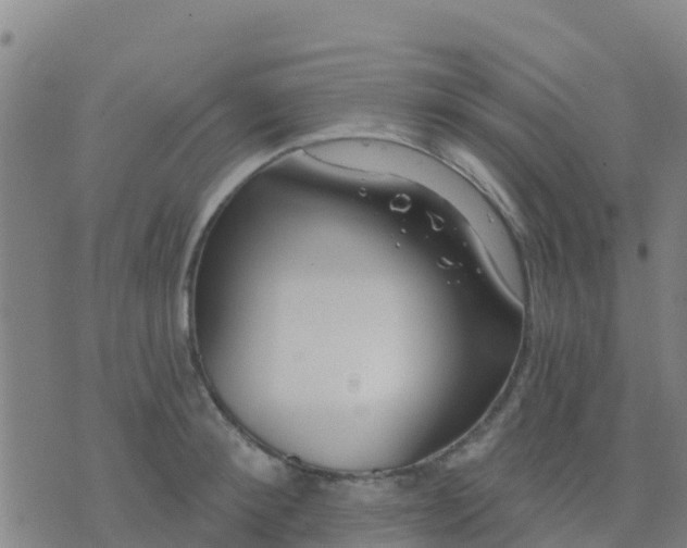 X0000074320900200609082004