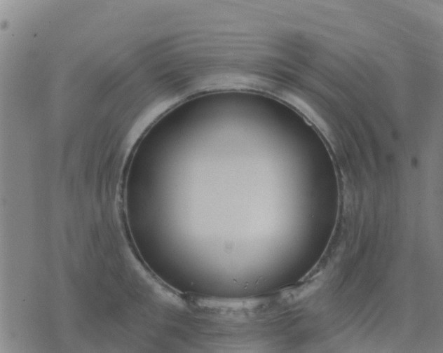 X0000074320901200609082004